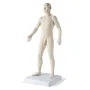 SEIRIN acupunctuur model Acupunctuurmodel, man, 70 cm